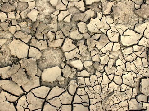 cracked earth