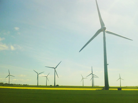 wind farm